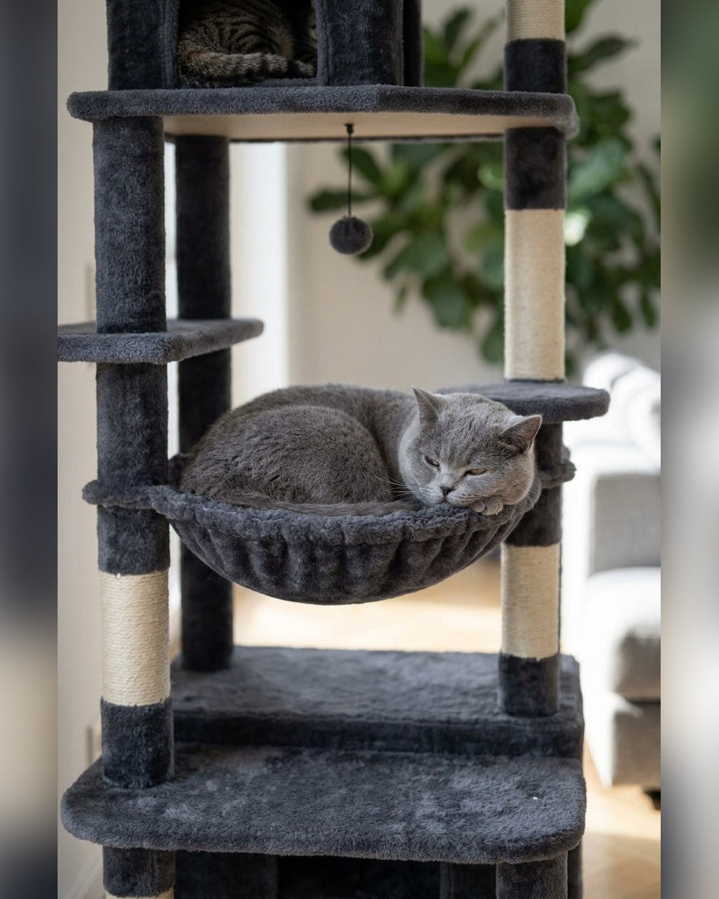 Arbre à Chat Géant XXL — Grand Confort avec Niche & Hamac
