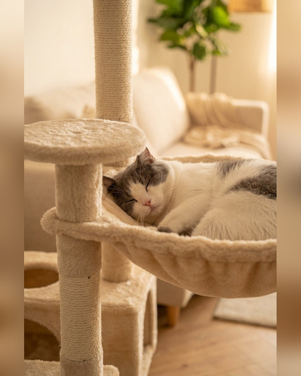 Arbre à Chat Géant XXL — Grand Confort avec Niche & Hamac