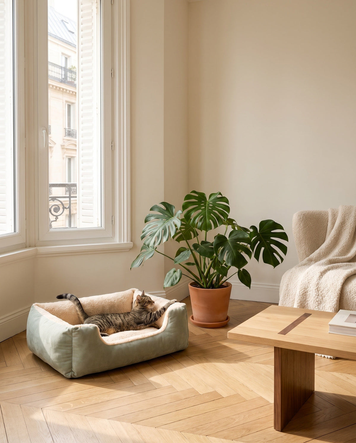 couchage canapé pour chat vert près d'une baie vitrée